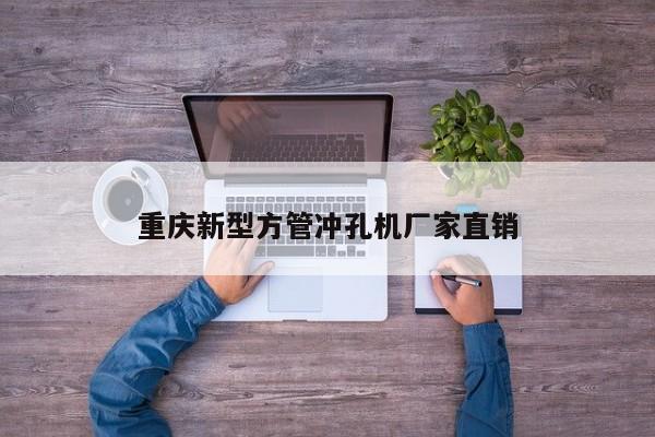 重慶新型方管沖孔機廠家直銷